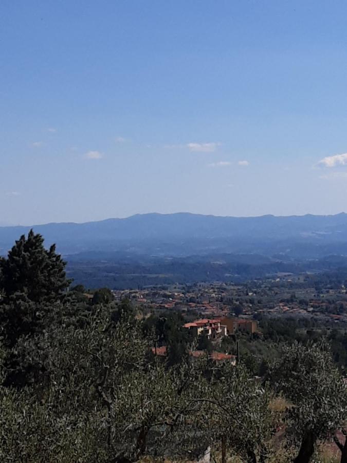 Agrifarm La Corte Apartment Villa Bensi Екстериор снимка